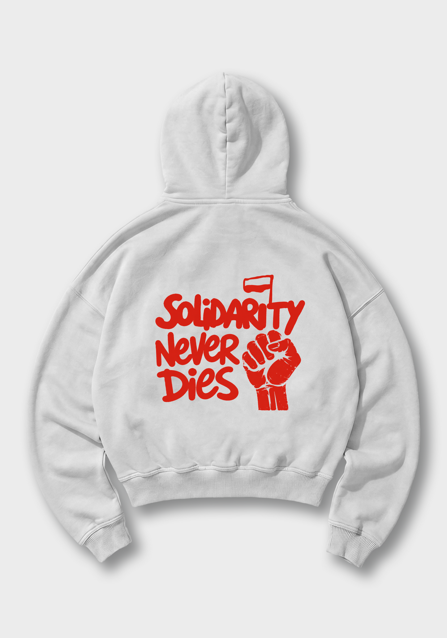 Solidarity never Dies Oversized Hoodie - White Back (Designed)