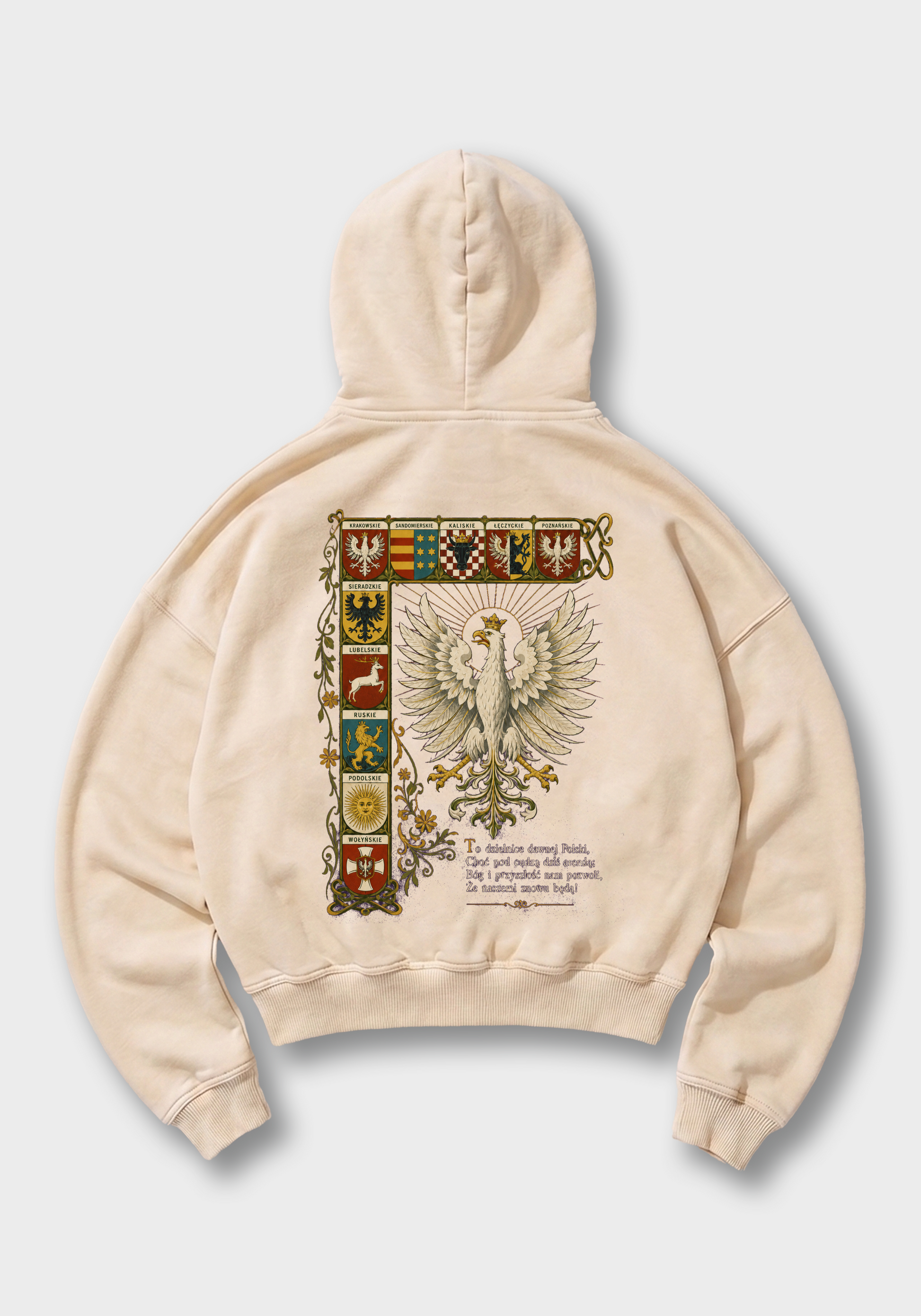 Dawne Dzielnice Oversized Hoodie - Beige Back (Designed)