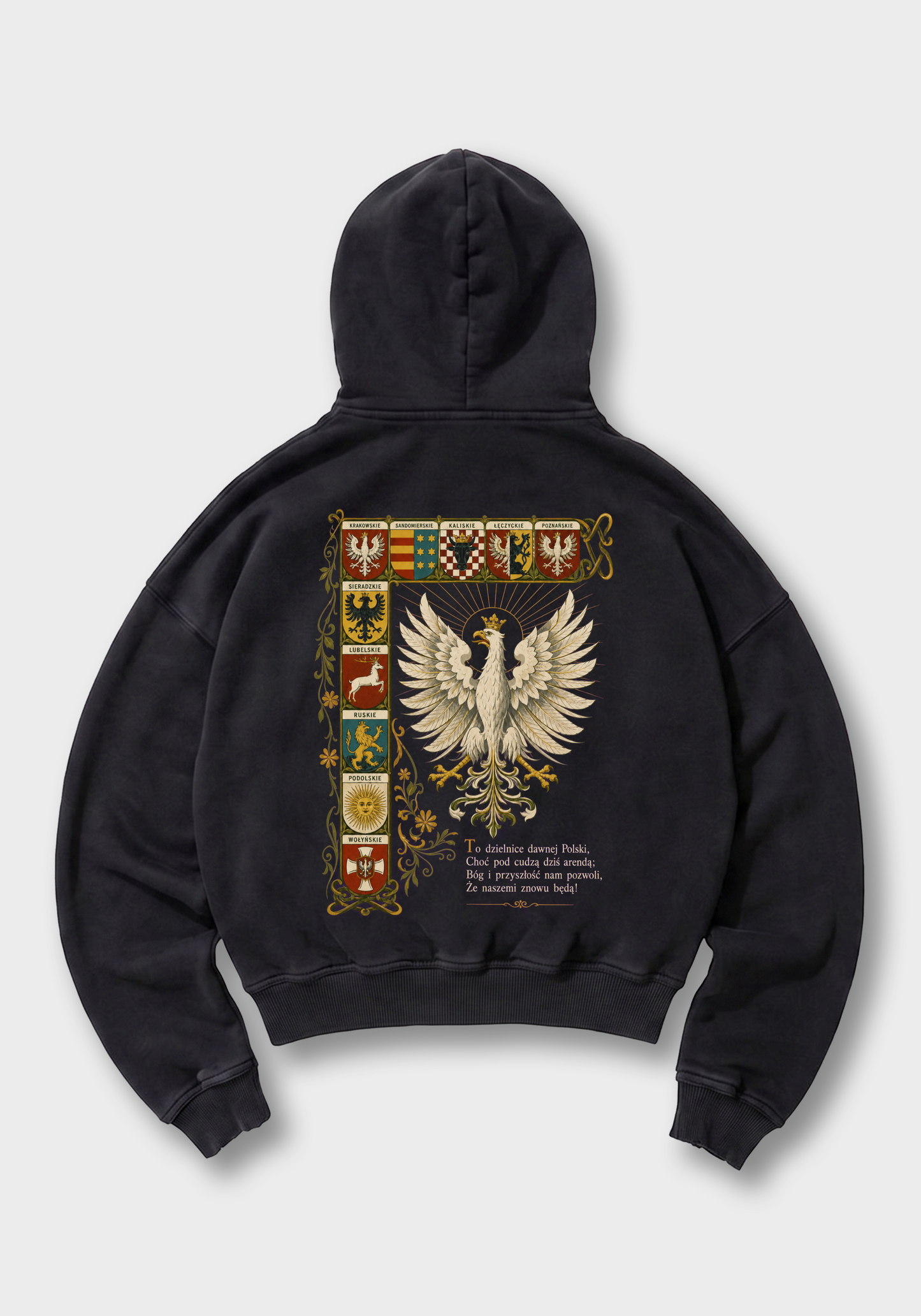 Dawne Dzielnice Oversized Hoodie - Black Back (Designed)